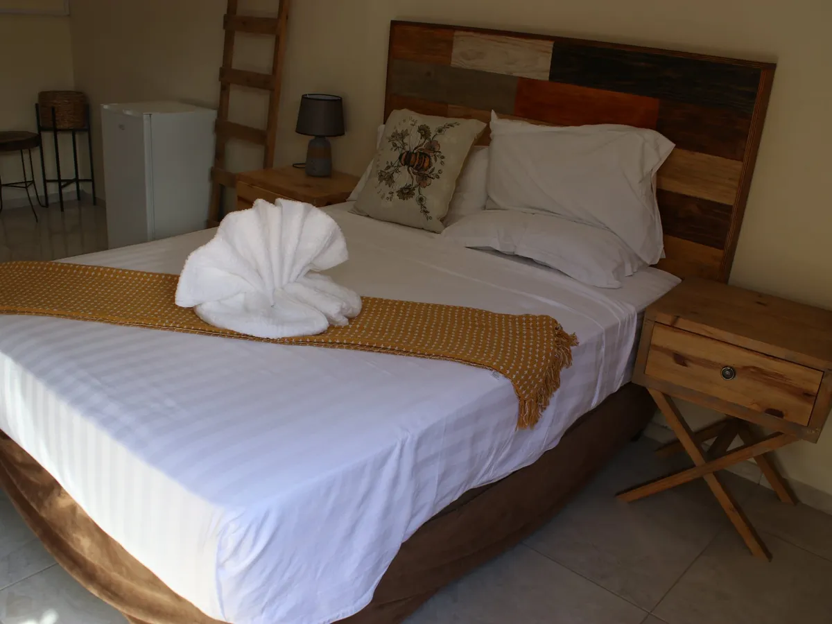 Boteti Room — photo 2 of 5