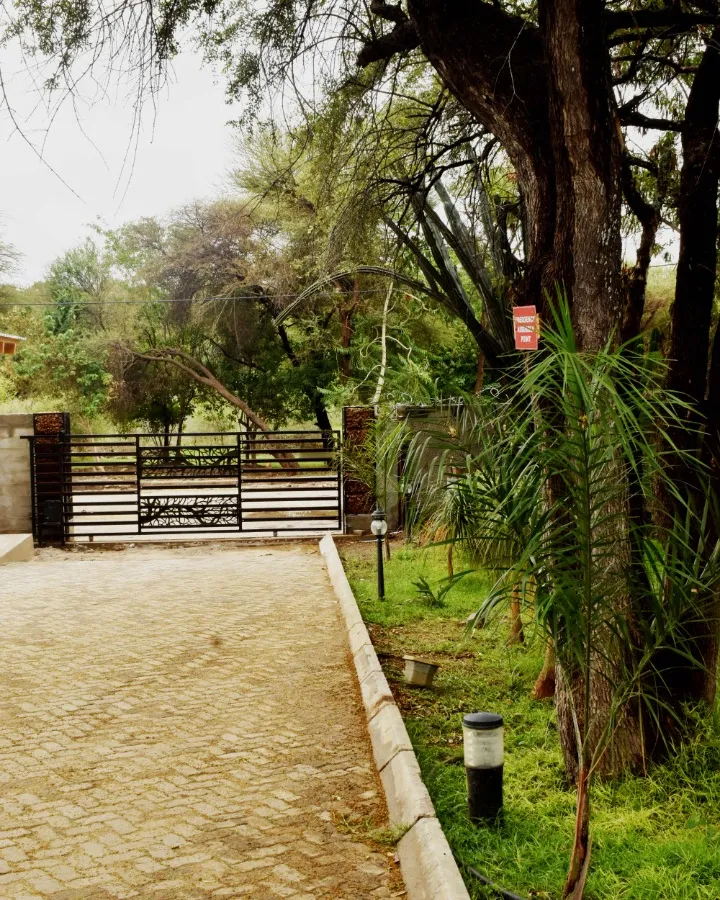 Front entrance and garden
