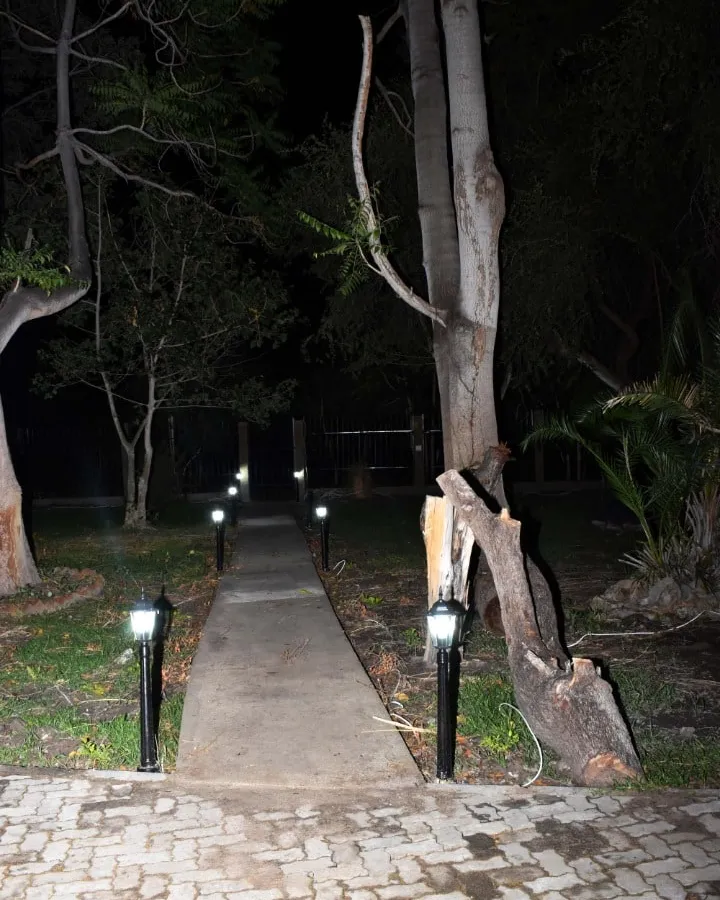 The grounds at night