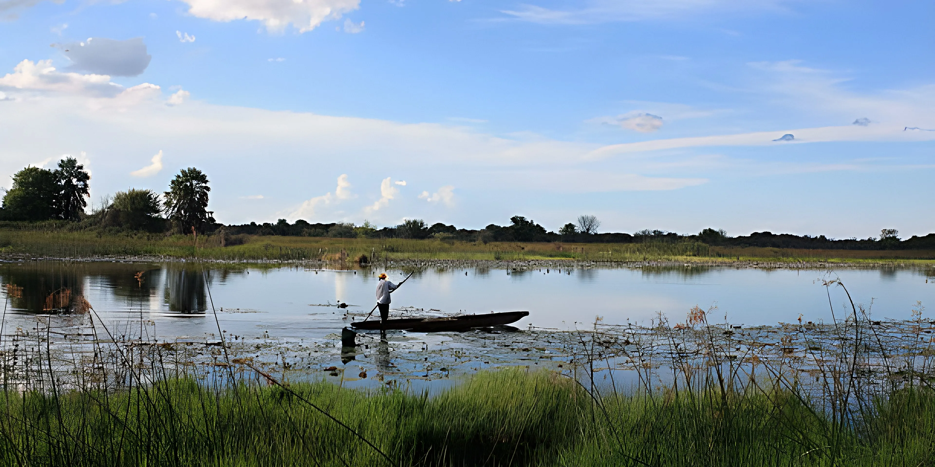 A guide poling a mokoro across the river, reeds and lily pads in the foreground