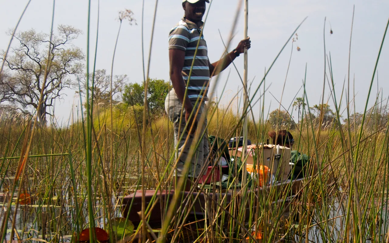 A guide poling a mokoro dug-out canoe through the Okavango Delta