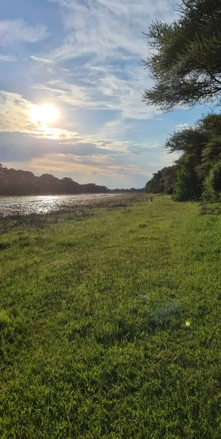 Riverside view at sunset